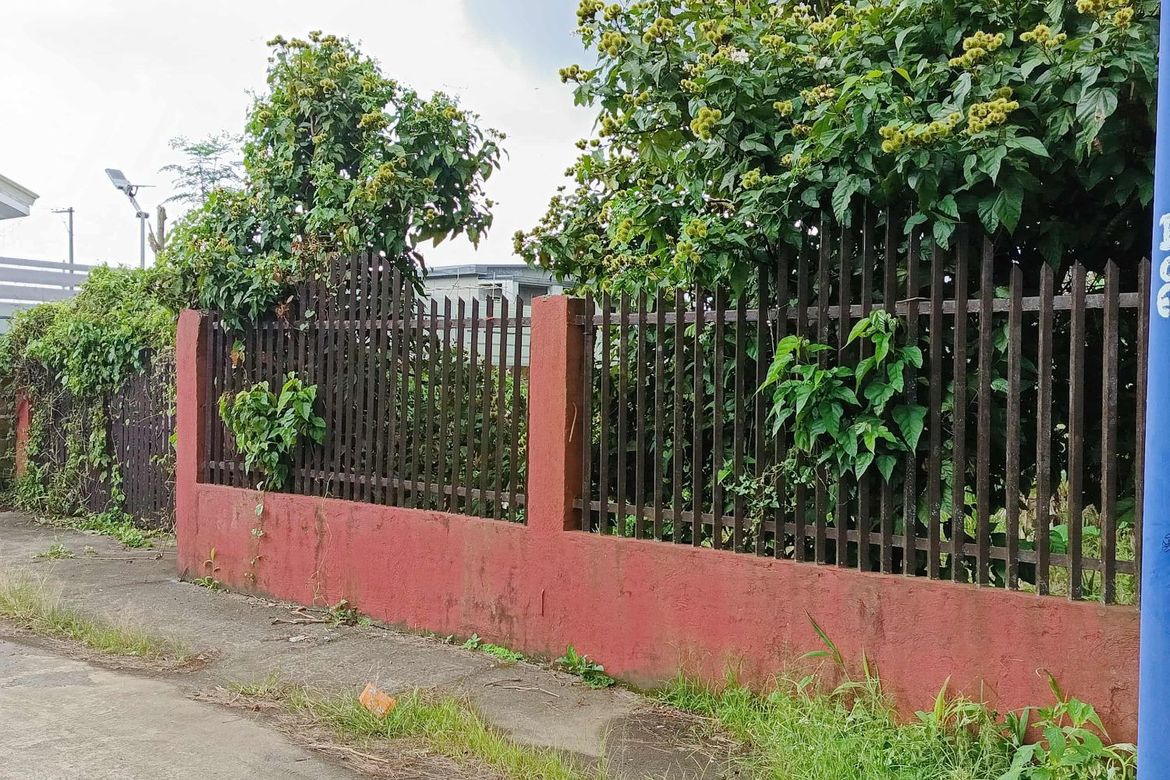 Land for Sale in Bukal, Mendez, Cavite – photo 7