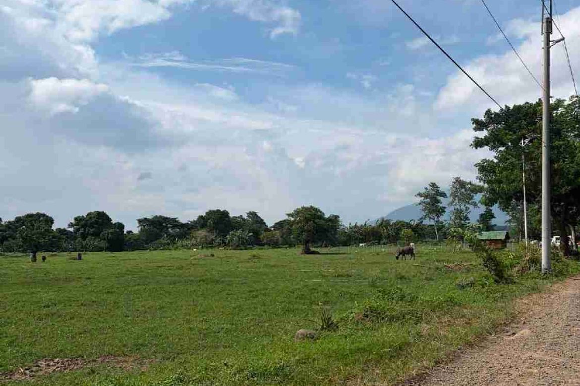 Land for Sale in Bukal Norte, Candelaria, Quezon – photo 5