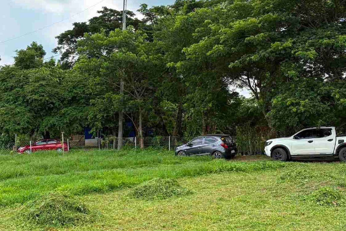 Land for Sale in Bukal Norte, Candelaria, Quezon – photo 6