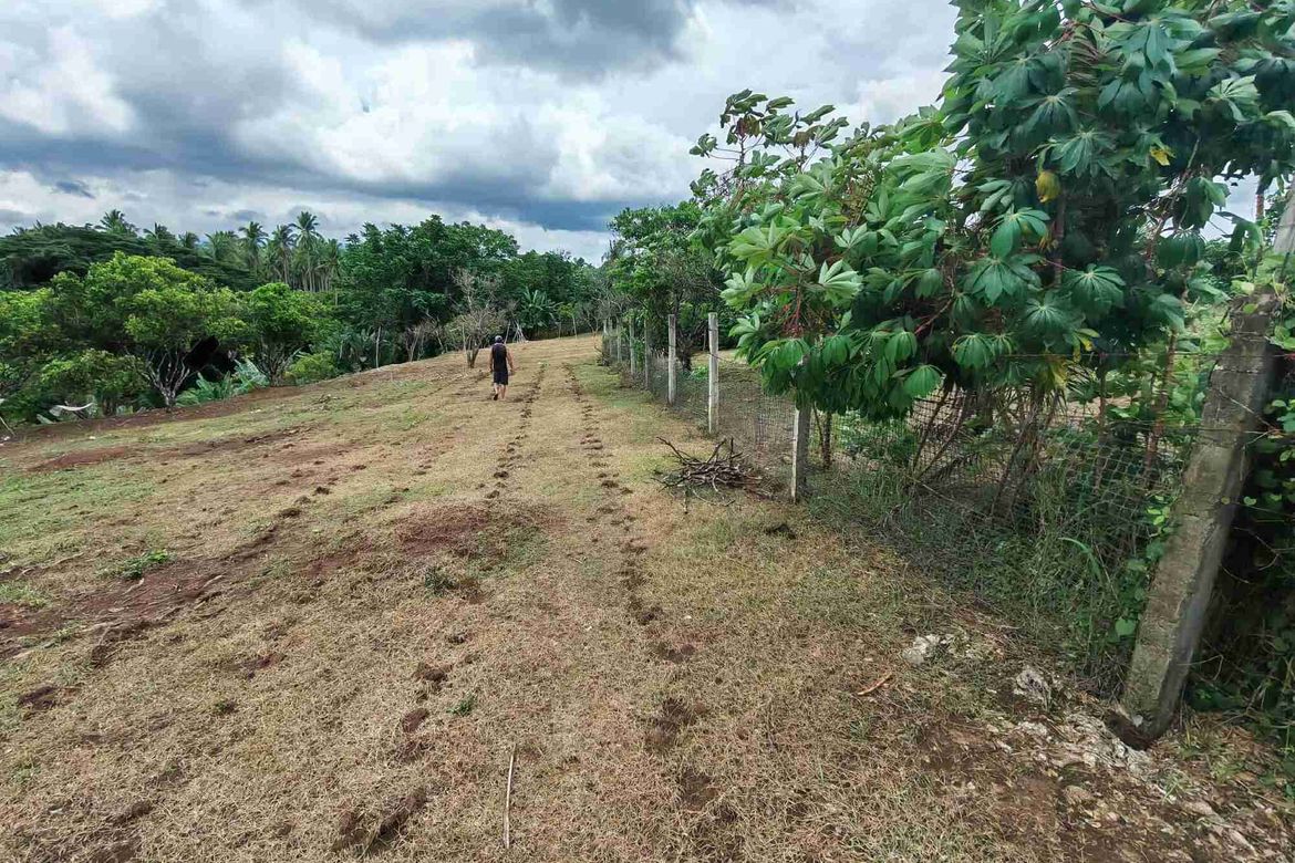 Land for Sale in Bukal Norte, Candelaria, Quezon