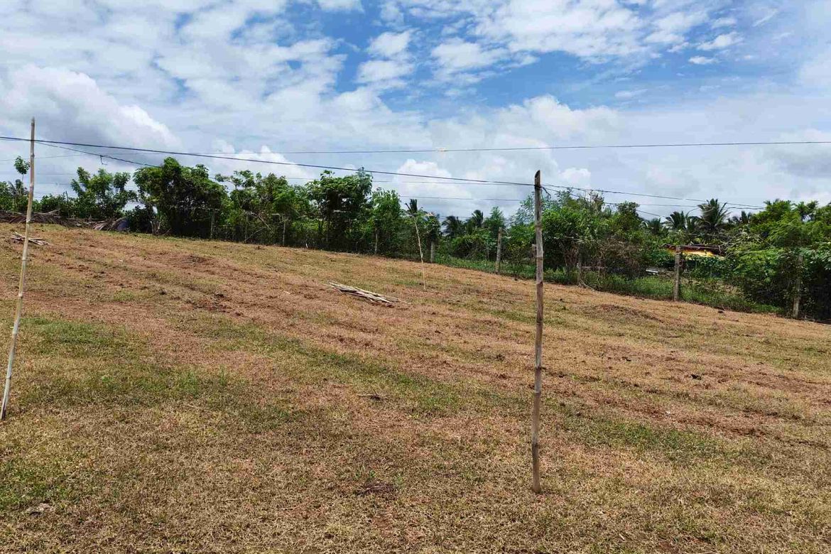 Land for Sale in Bukal Norte, Candelaria, Quezon – photo 4