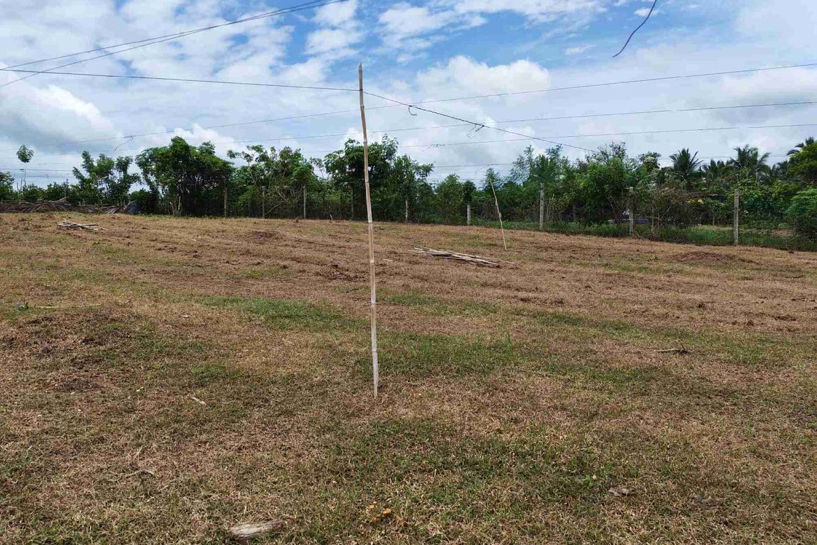 Land for Sale in Bukal Norte, Candelaria, Quezon – photo 6