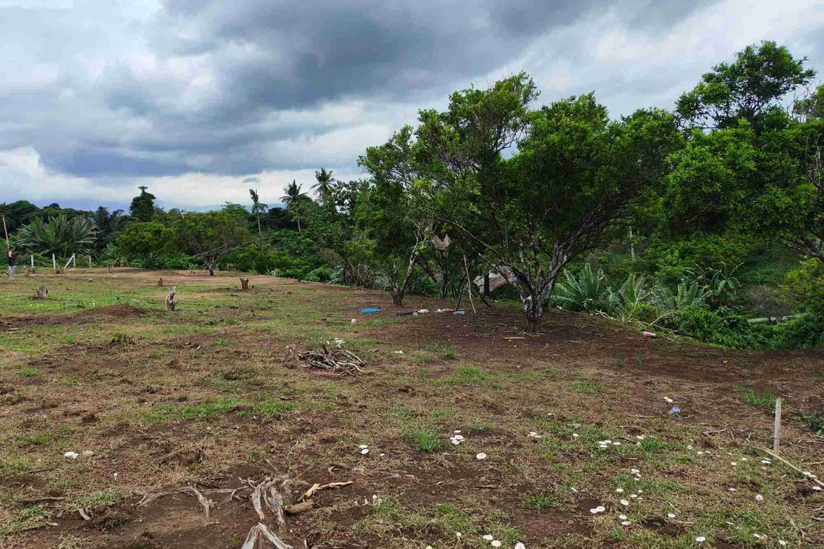 Land for Sale in Bukal Norte, Candelaria, Quezon – photo 7