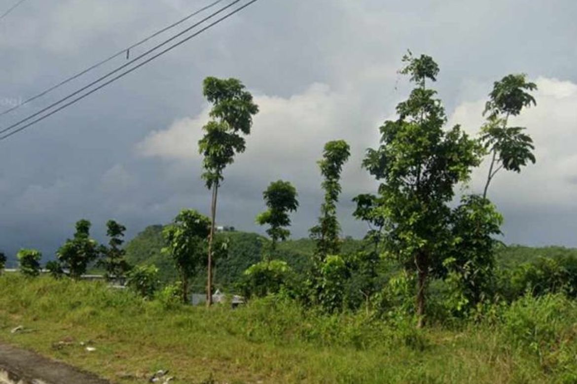 Land for Sale in Bulacao, Talisay, Cebu – photo 7
