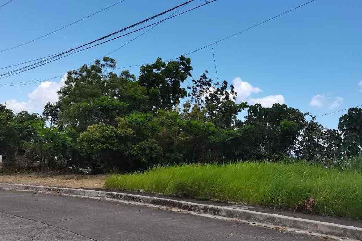 Land for Sale in Bulacao, Talisay, Cebu – photo 2