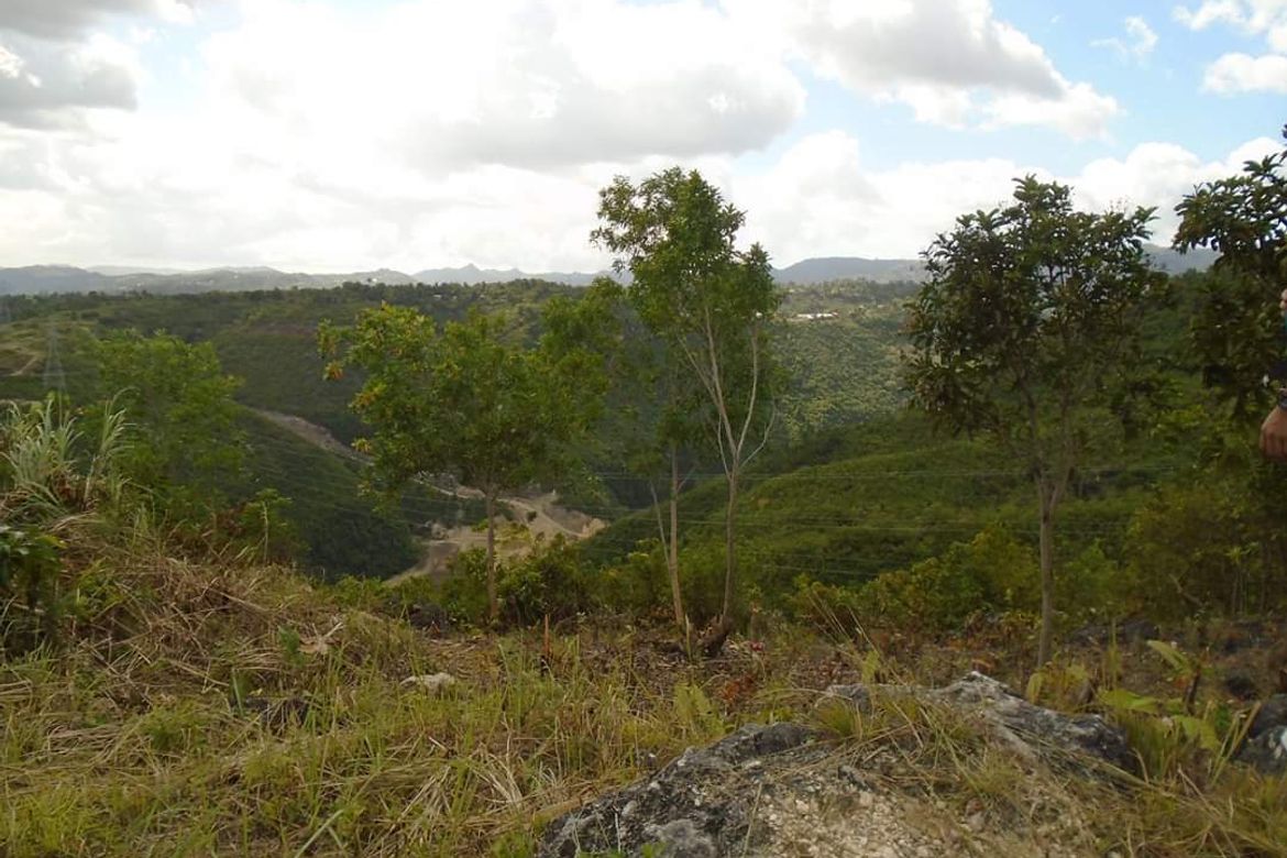 Land for Sale in Bulacao, Talisay, Cebu – photo 7