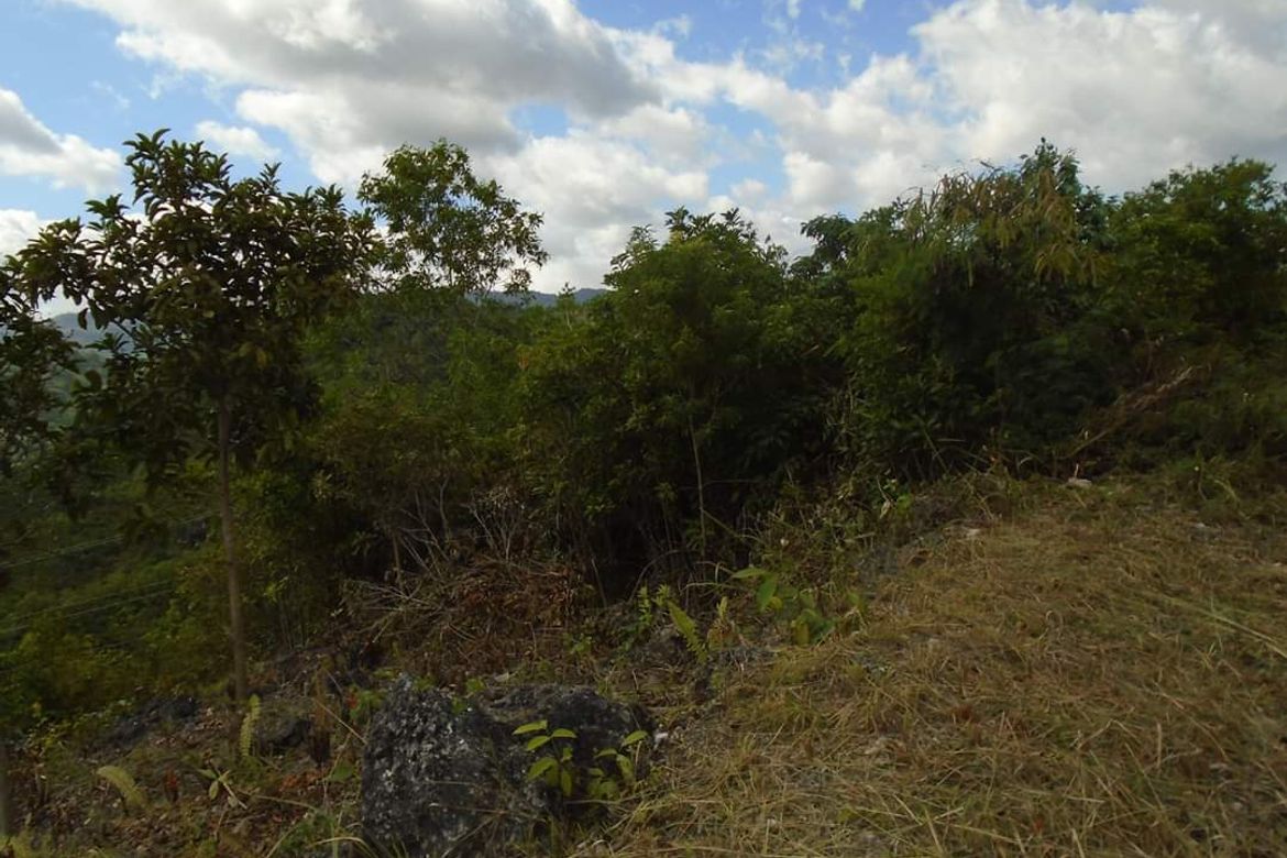 Land for Sale in Bulacao, Talisay, Cebu – photo 8