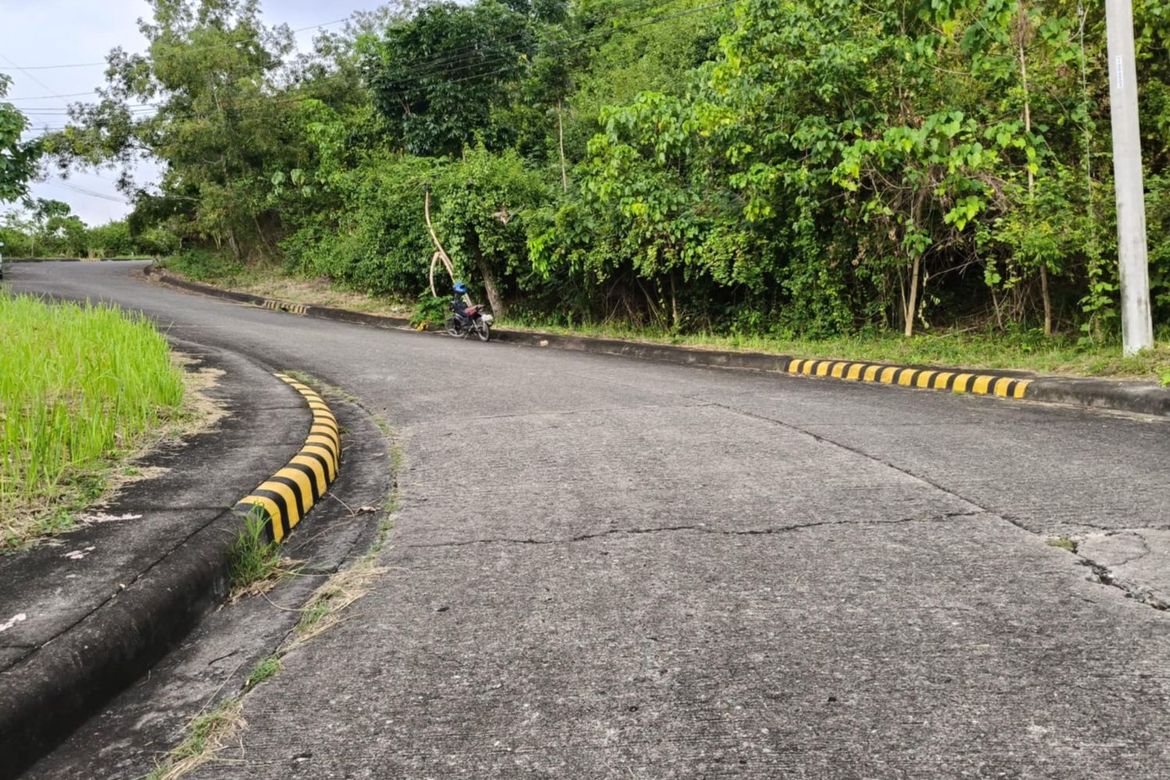 Land for Sale in Bulacao, Talisay, Cebu – photo 2