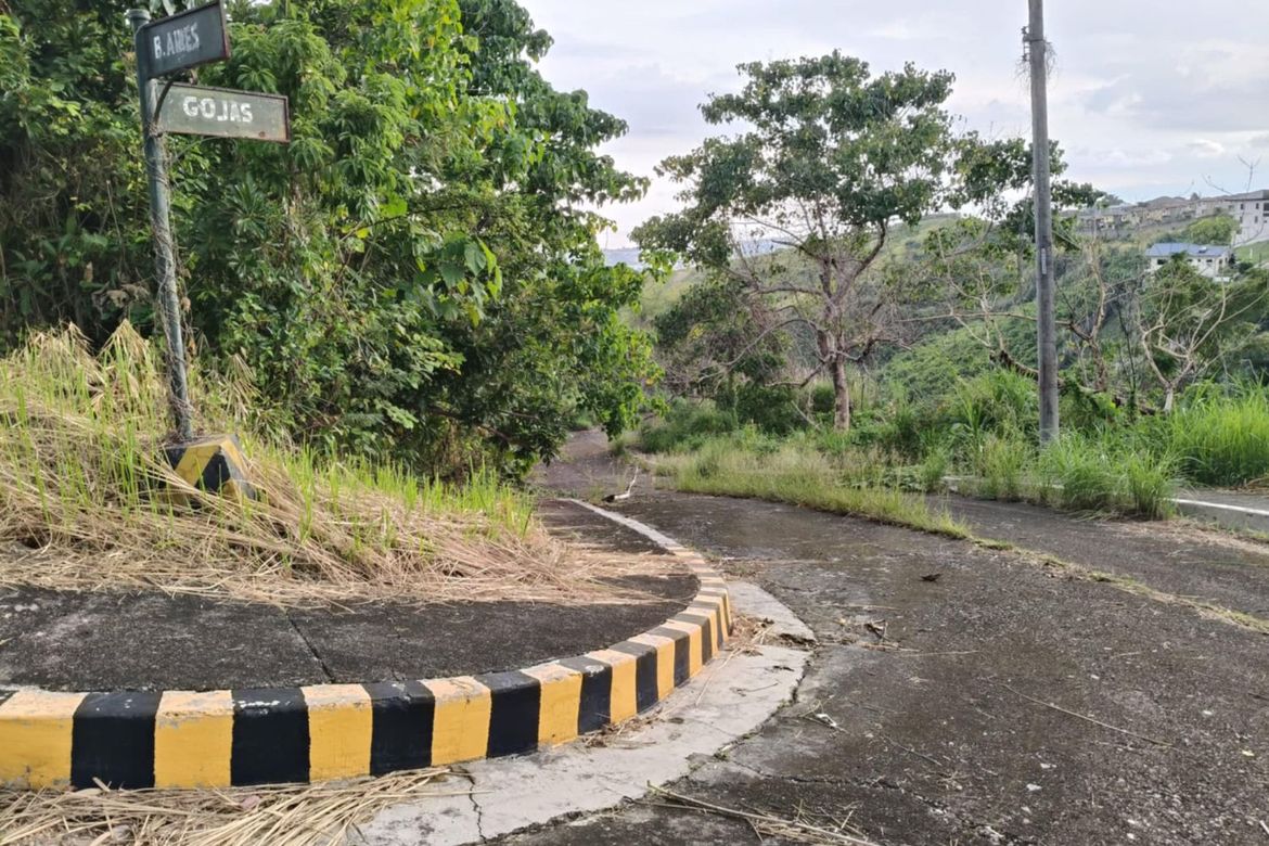 Land for Sale in Bulacao, Talisay, Cebu – photo 2