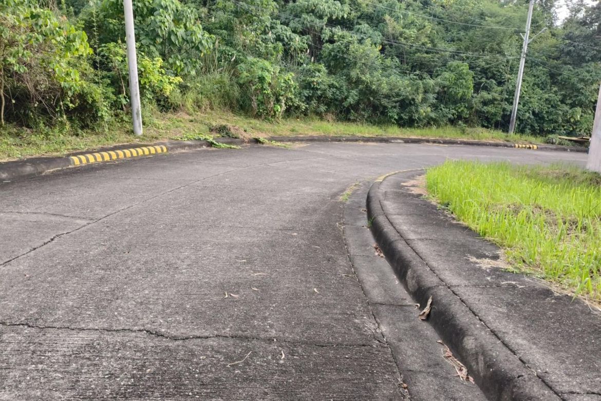 Land for Sale in Bulacao, Talisay, Cebu – photo 3