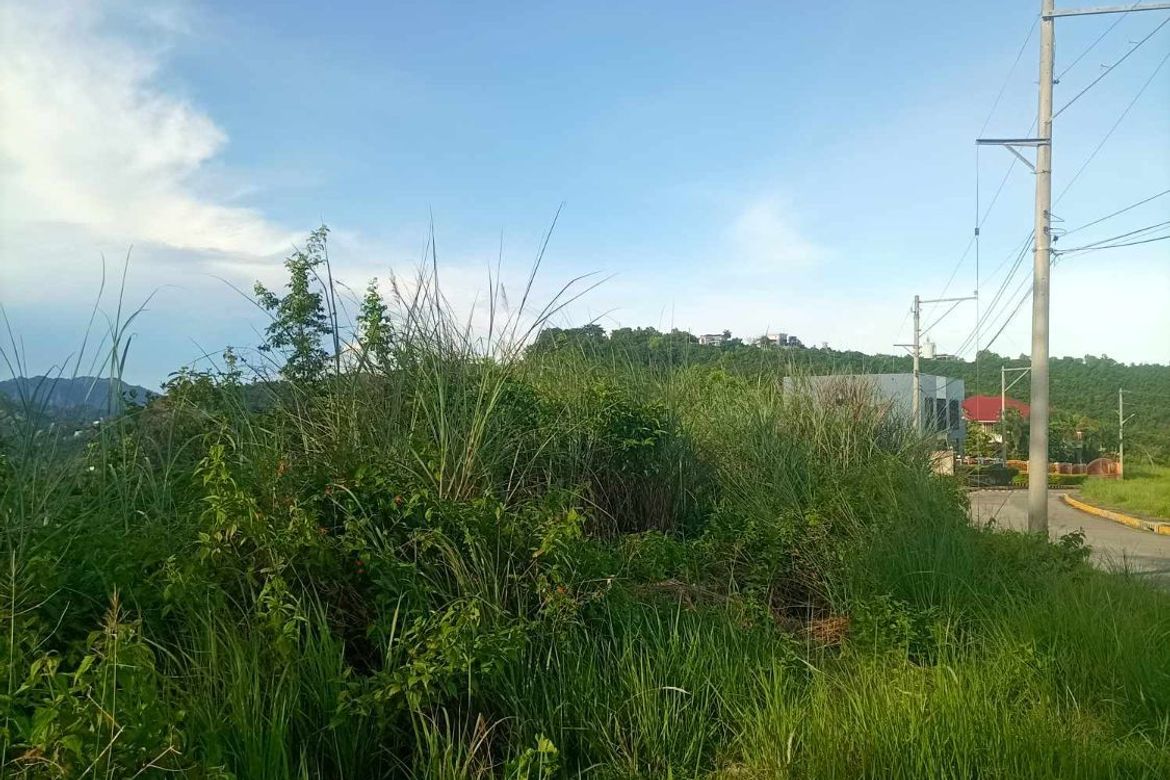 Land for Sale in Bulacao, Talisay, Cebu – photo 2