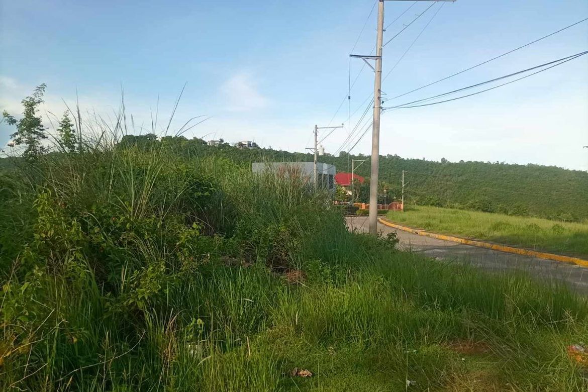 Land for Sale in Bulacao, Talisay, Cebu – photo 3