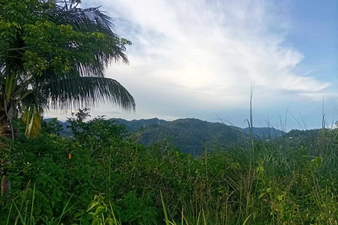 Land for Sale in Bulacao, Talisay, Cebu – photo 5