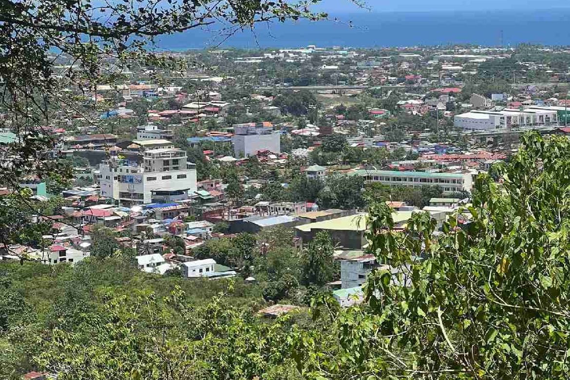 Land for Sale in Bulacao, Talisay, Cebu – photo 2