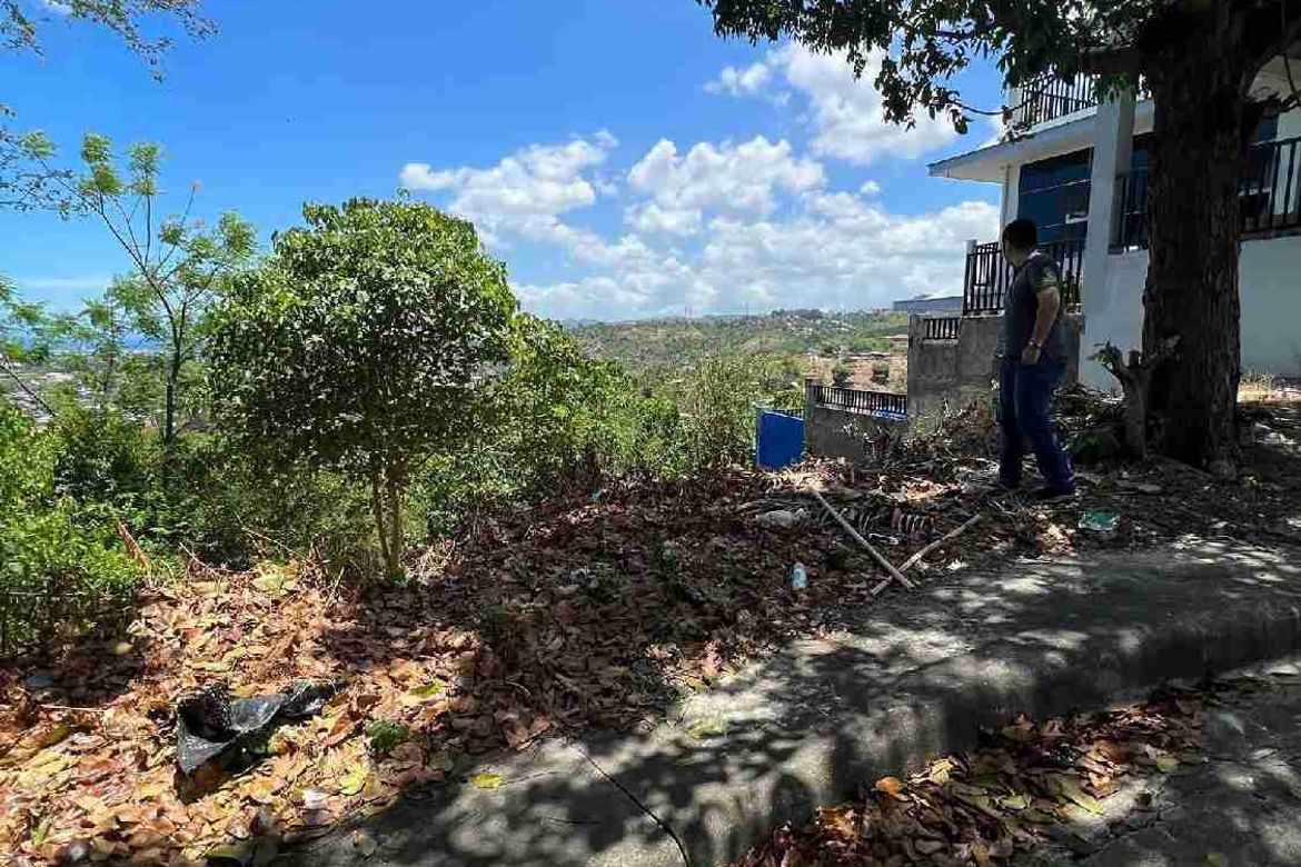 Land for Sale in Bulacao, Talisay, Cebu – photo 3