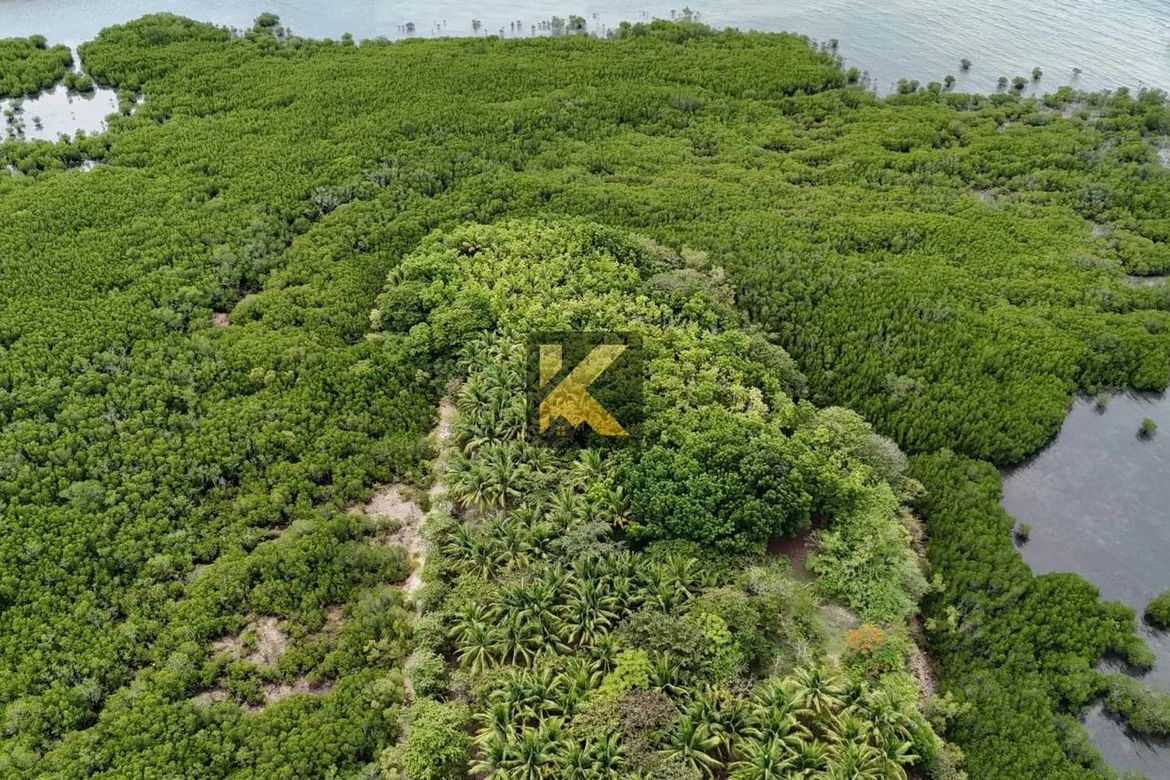 Land for Sale in Bulad, Isabela, Negros Occidental – photo 2