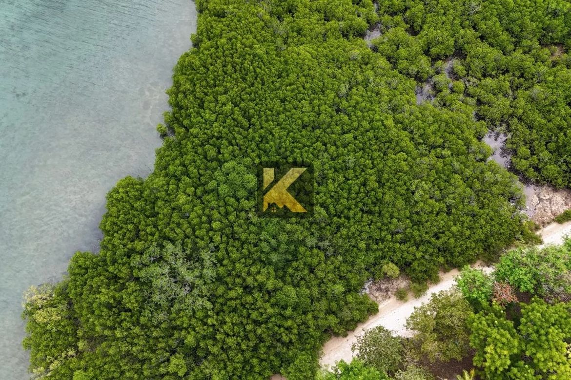 Land for Sale in Bulad, Isabela, Negros Occidental – photo 3