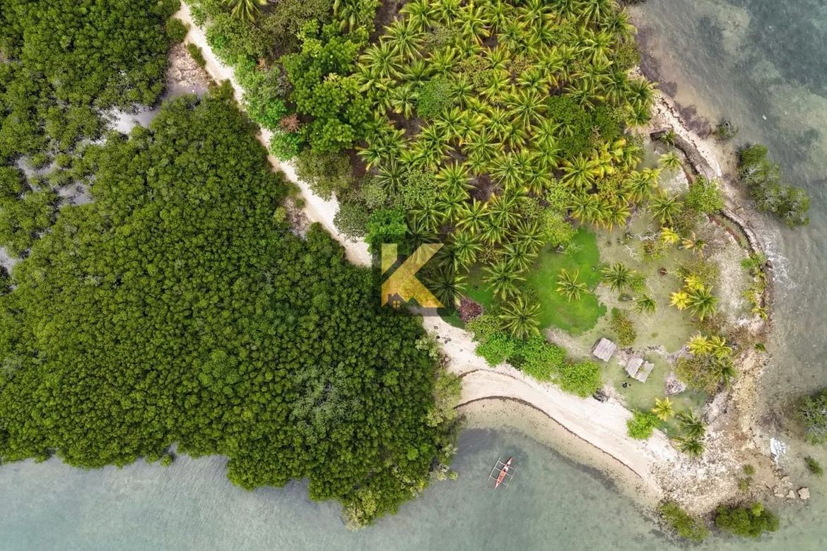 Land for Sale in Bulad, Isabela, Negros Occidental – photo 4