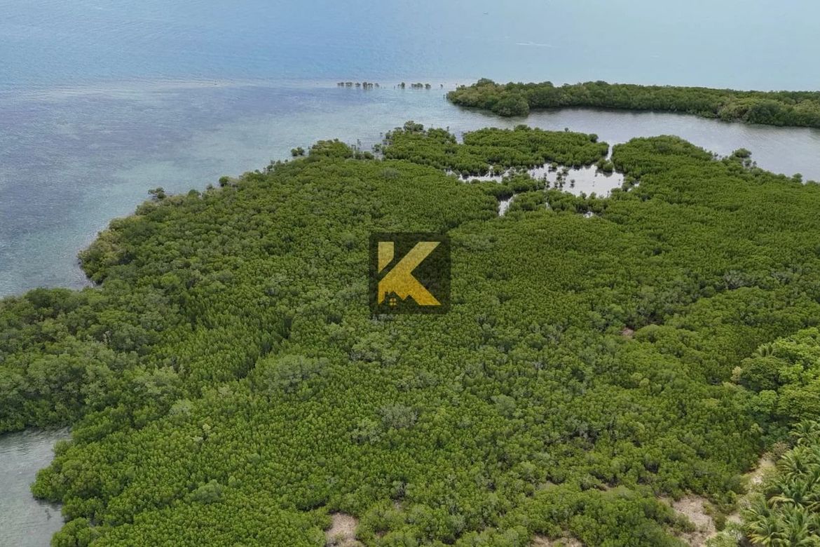 Land for Sale in Bulad, Isabela, Negros Occidental – photo 5