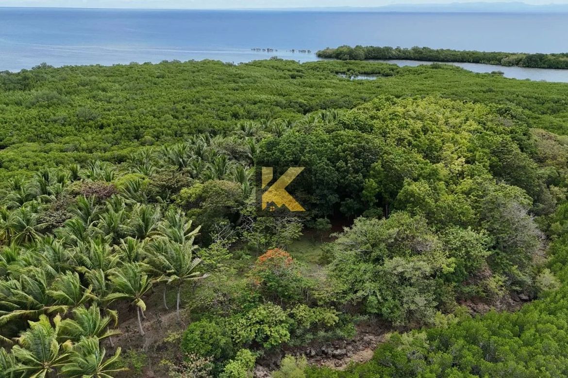 Land for Sale in Bulad, Isabela, Negros Occidental – photo 8