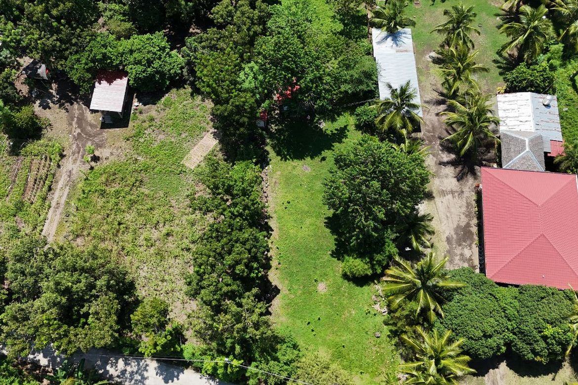Land for Sale in Bulak, Dauin, Negros Oriental – photo 2