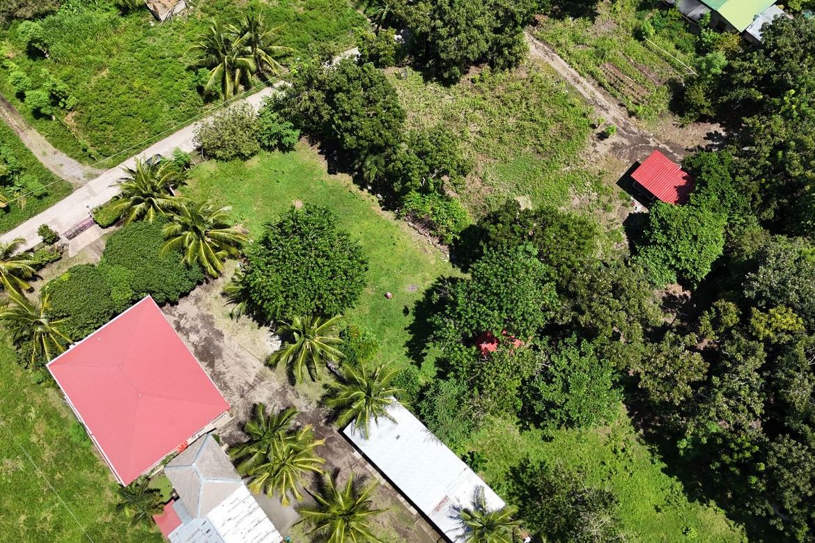 Land for Sale in Bulak, Dauin, Negros Oriental – photo 4