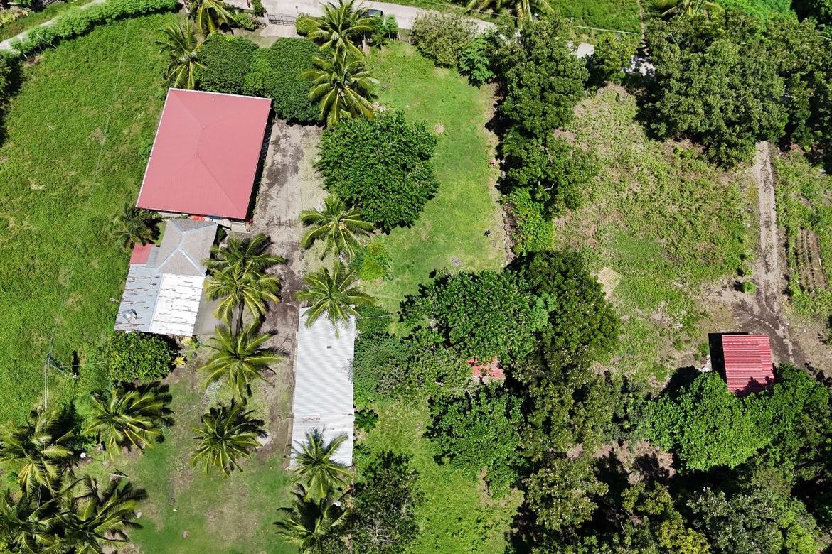 Land for Sale in Bulak, Dauin, Negros Oriental – photo 5