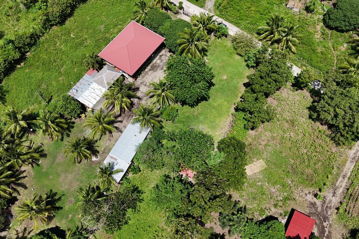 Land for Sale in Bulak, Dauin, Negros Oriental – photo 6