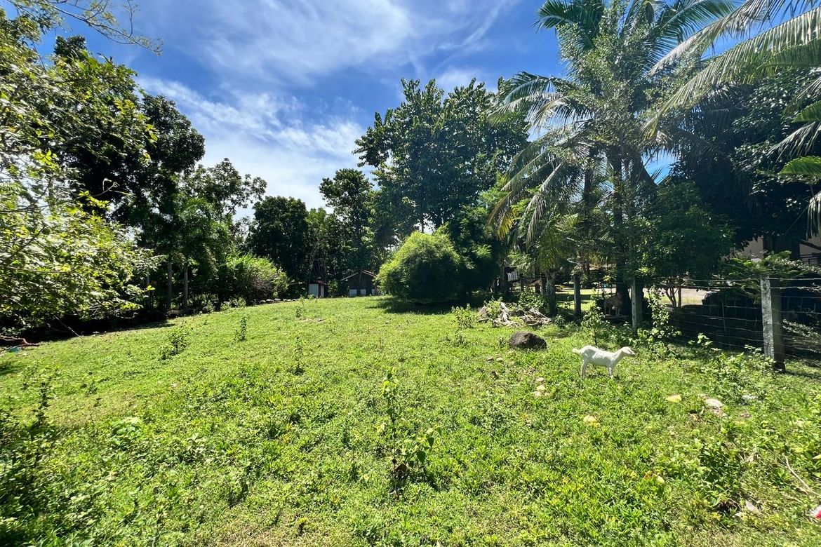 Land for Sale in Bulak, Dauin, Negros Oriental – photo 7