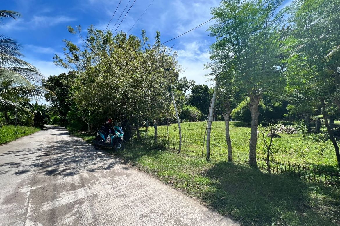 Land for Sale in Bulak, Dauin, Negros Oriental – photo 8