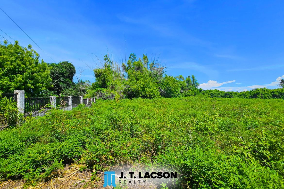 Land for Sale in Bulak, Dauin, Negros Oriental – photo 2
