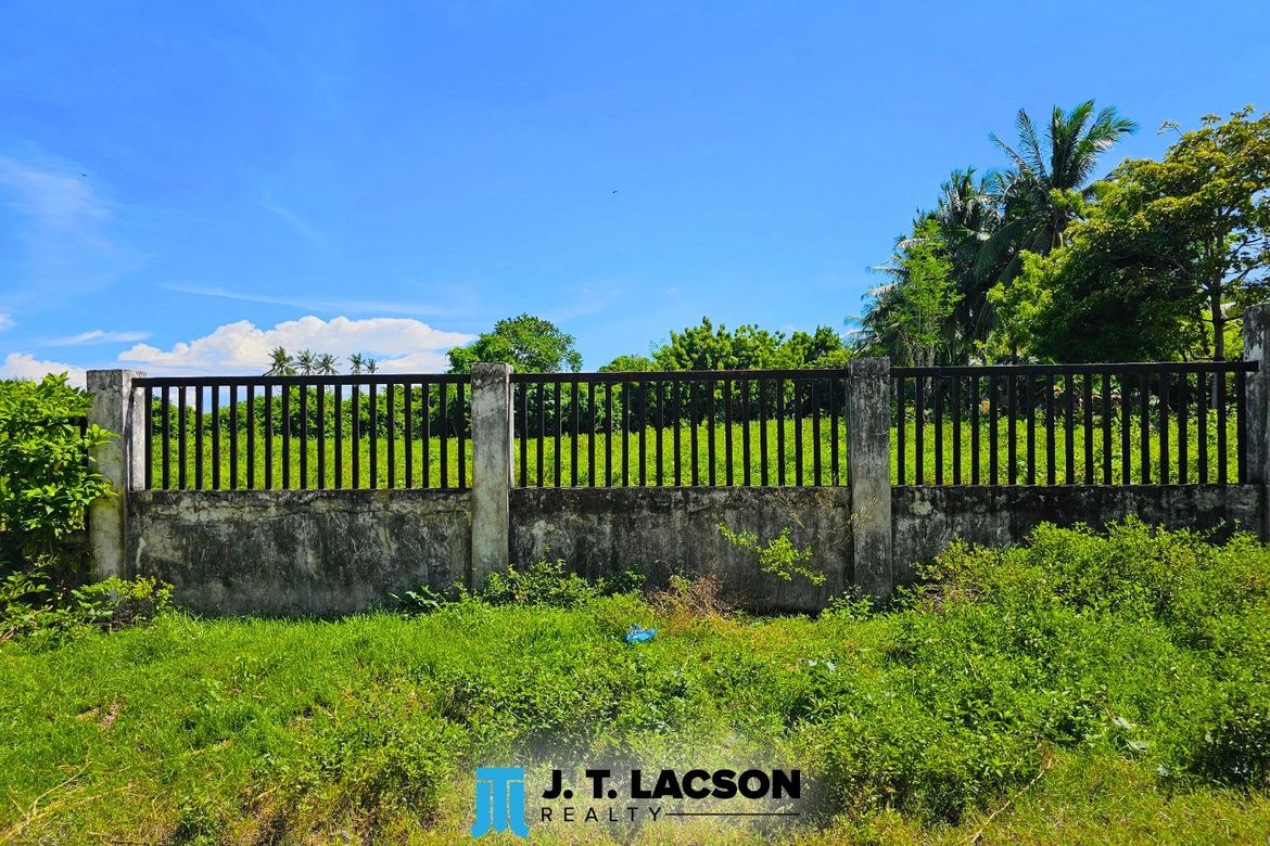 Land for Sale in Bulak, Dauin, Negros Oriental – photo 3