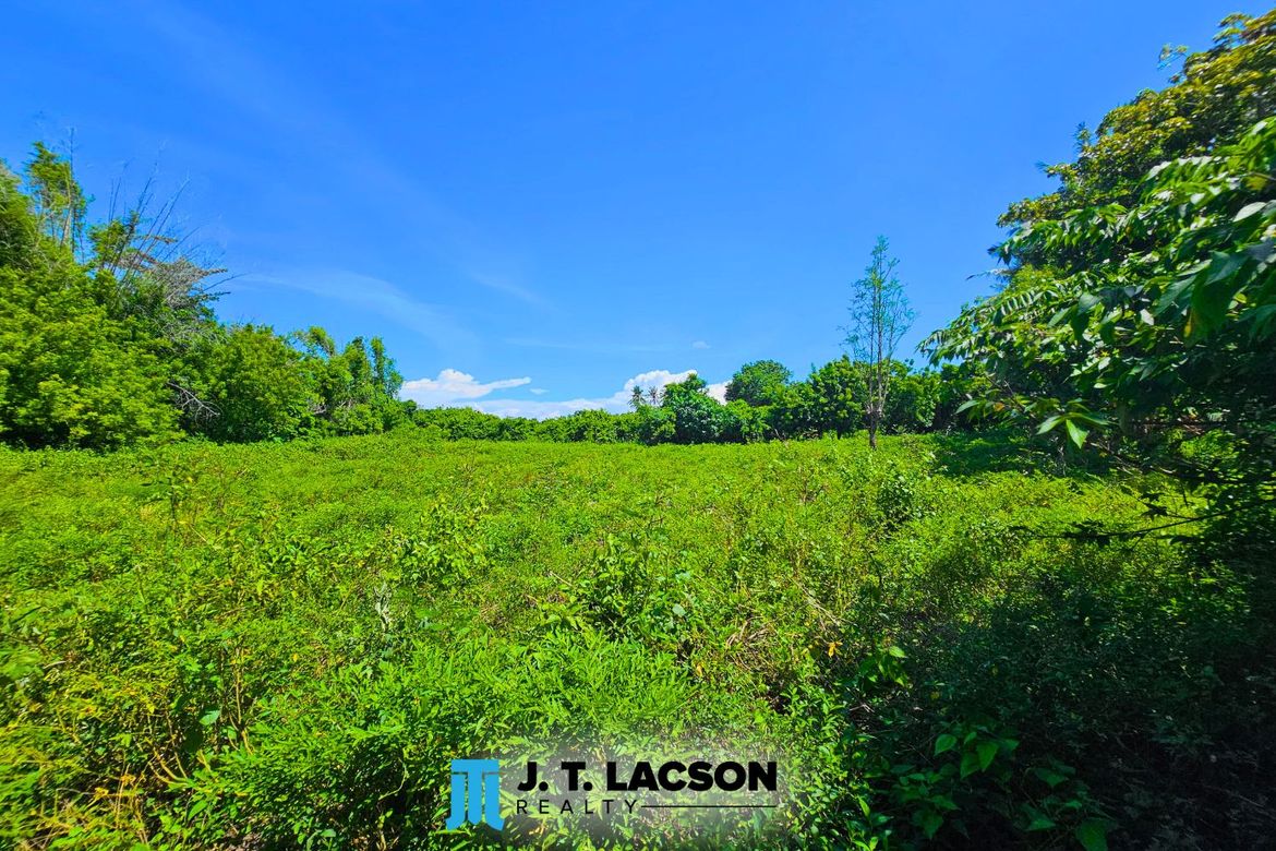 Land for Sale in Bulak, Dauin, Negros Oriental – photo 4