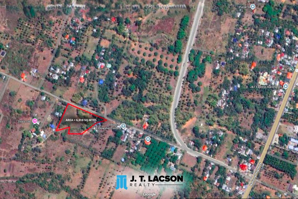 Land for Sale in Bulak, Dauin, Negros Oriental – photo 7