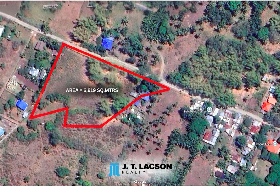 Land for Sale in Bulak, Dauin, Negros Oriental – photo 8