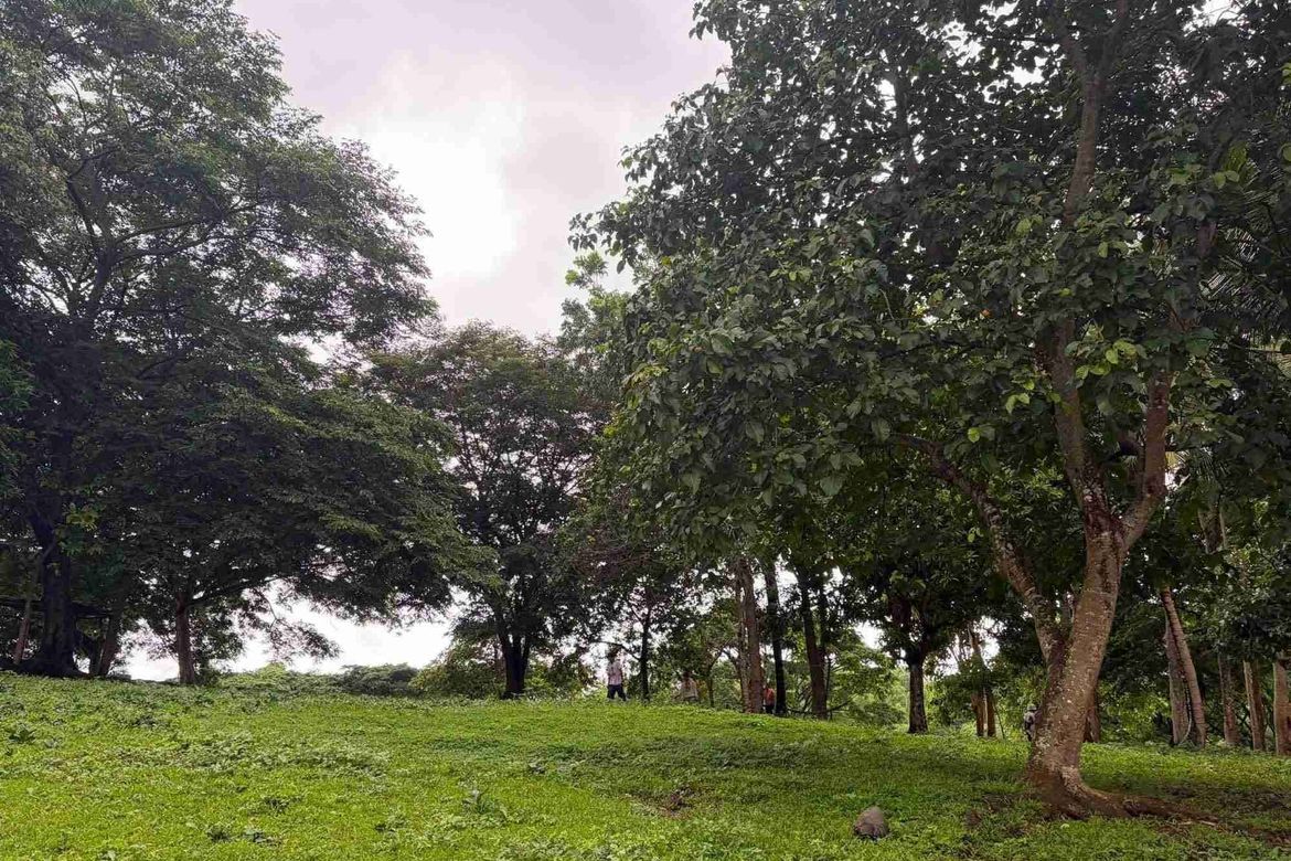 Land for Sale in Bulakin II, Dolores, Quezon – photo 2