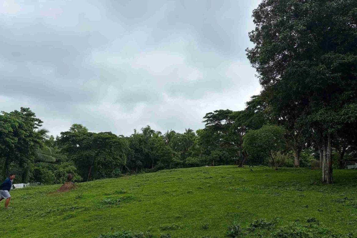 Land for Sale in Bulakin II, Dolores, Quezon – photo 7