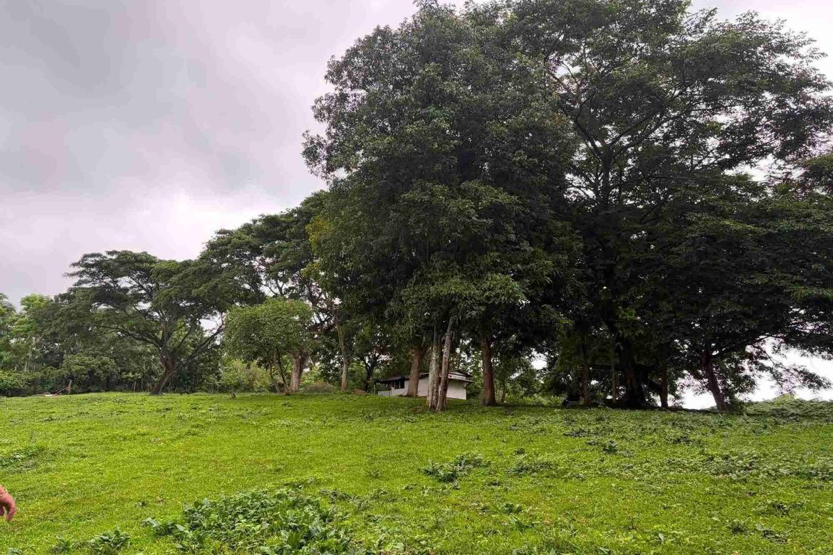 Land for Sale in Bulakin II, Dolores, Quezon – photo 8