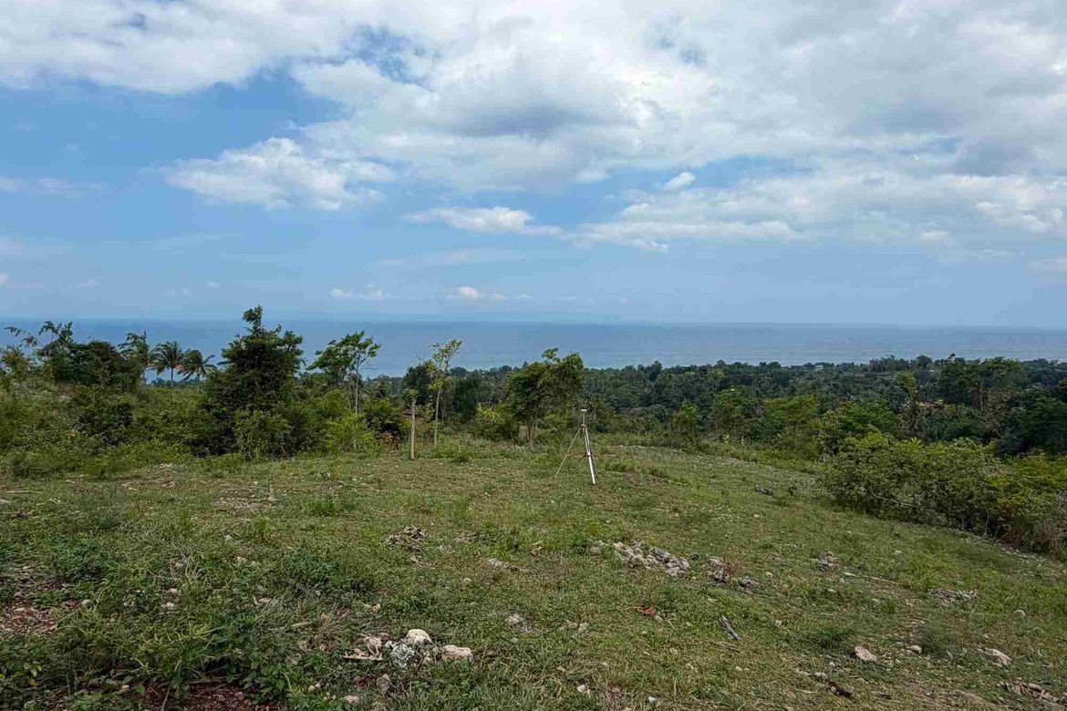 Land for Sale in Bulasa, Argao, Cebu – photo 7