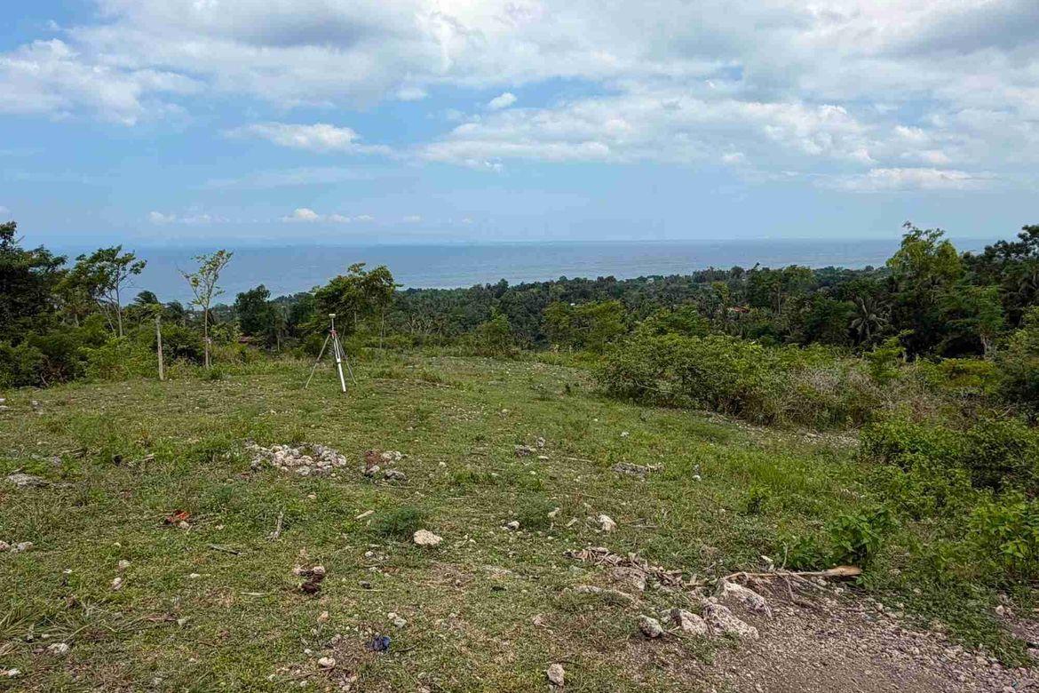 Land for Sale in Bulasa, Argao, Cebu – photo 8