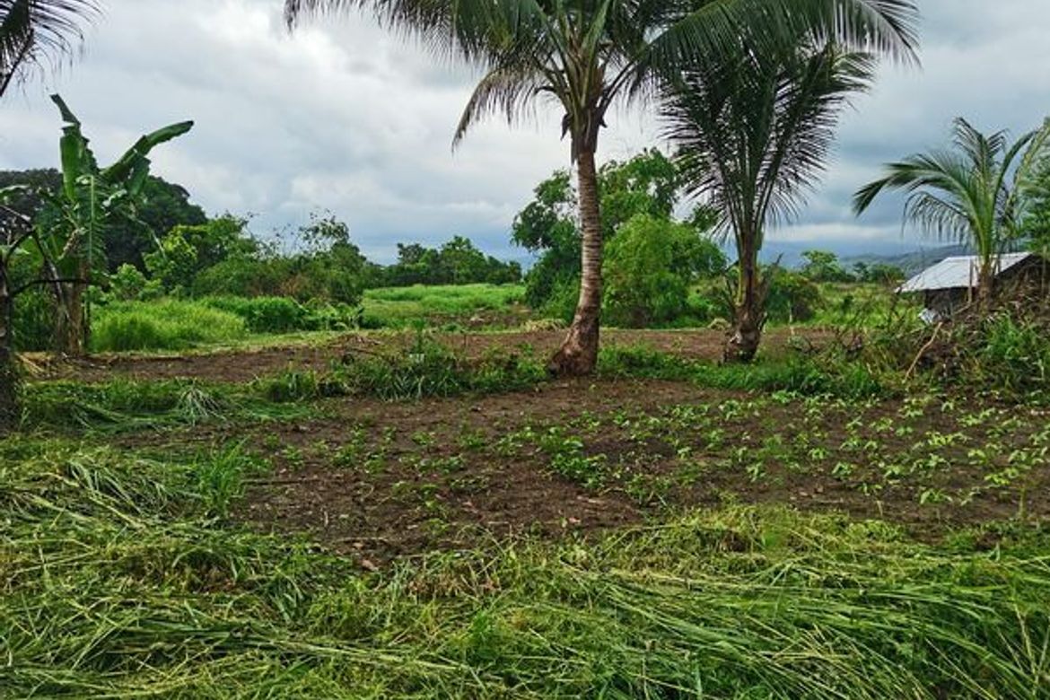 Land for Sale in Bulawen, Palauig, Zambales