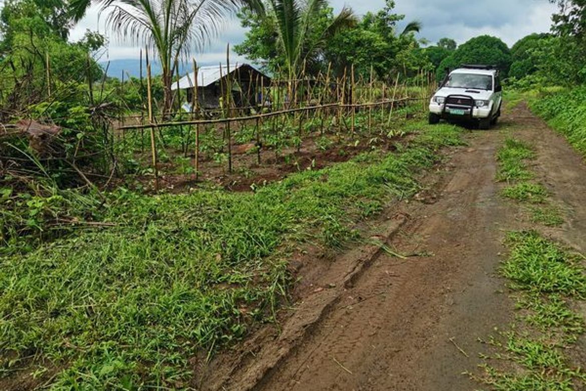 Land for Sale in Bulawen, Palauig, Zambales – photo 3