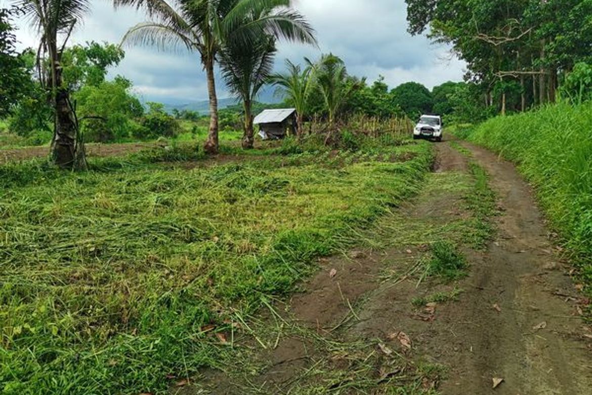 Land for Sale in Bulawen, Palauig, Zambales – photo 4