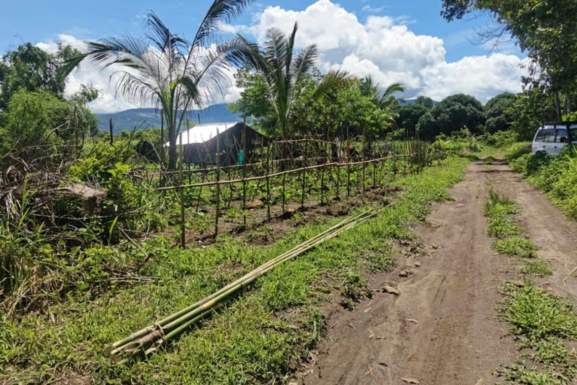 Land for Sale in Bulawen, Palauig, Zambales – photo 6