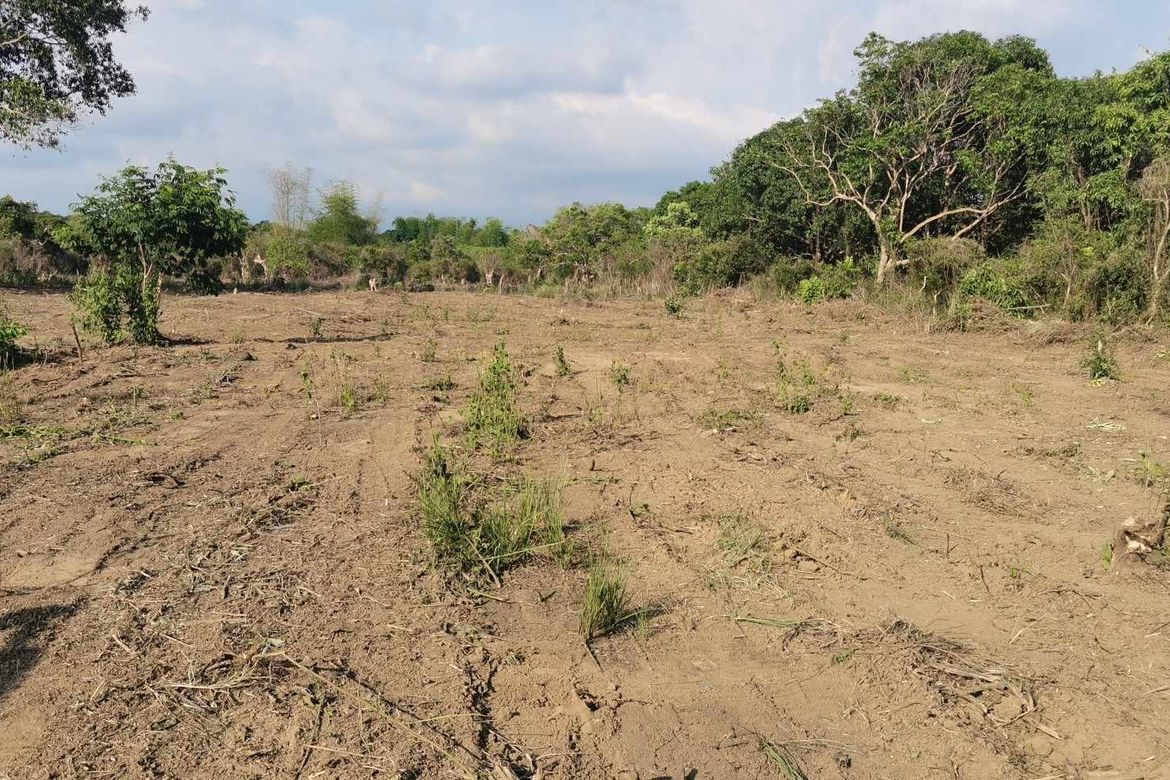 Land for Sale in Bulawen, Palauig, Zambales – photo 3
