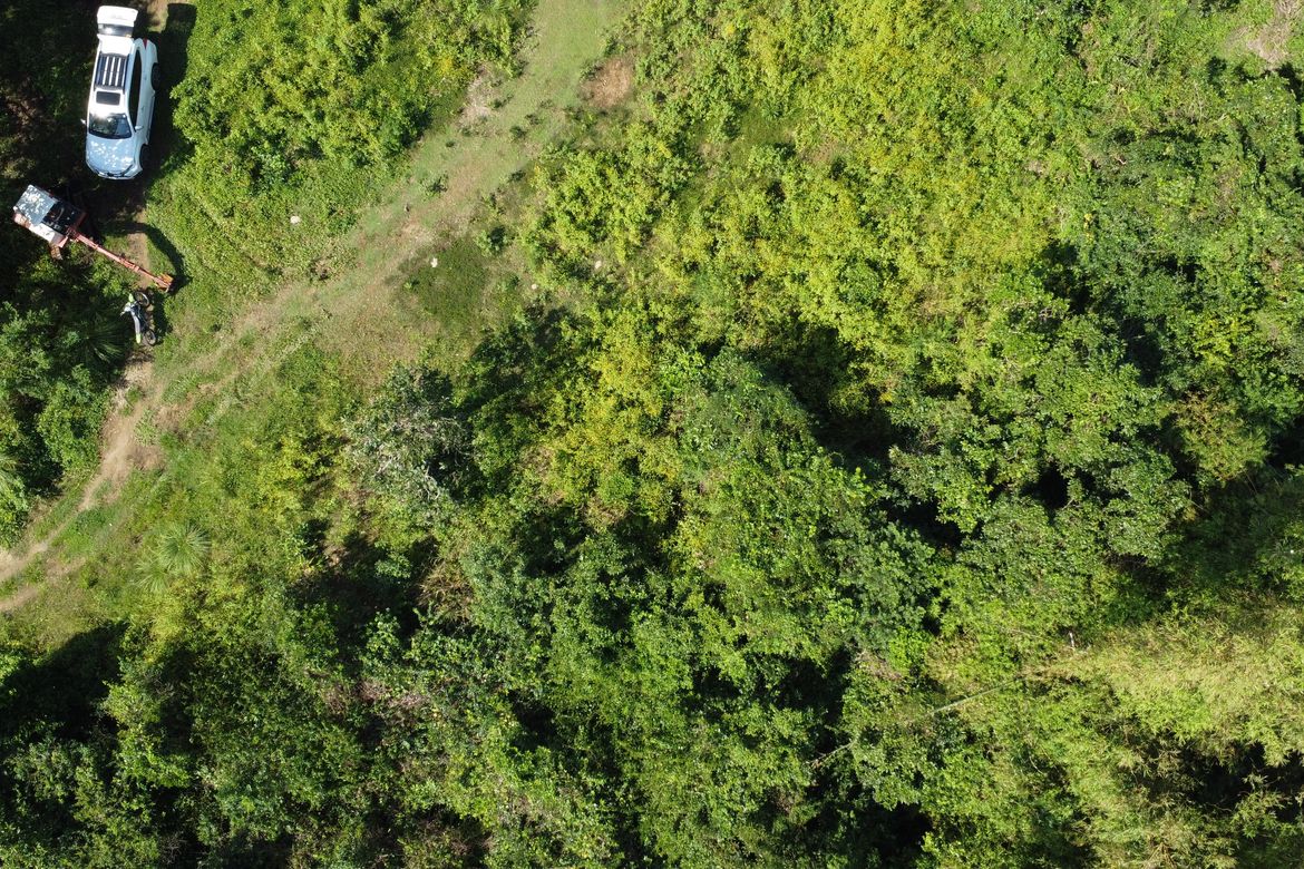 Land for Sale in Bulawen, Palauig, Zambales – photo 8