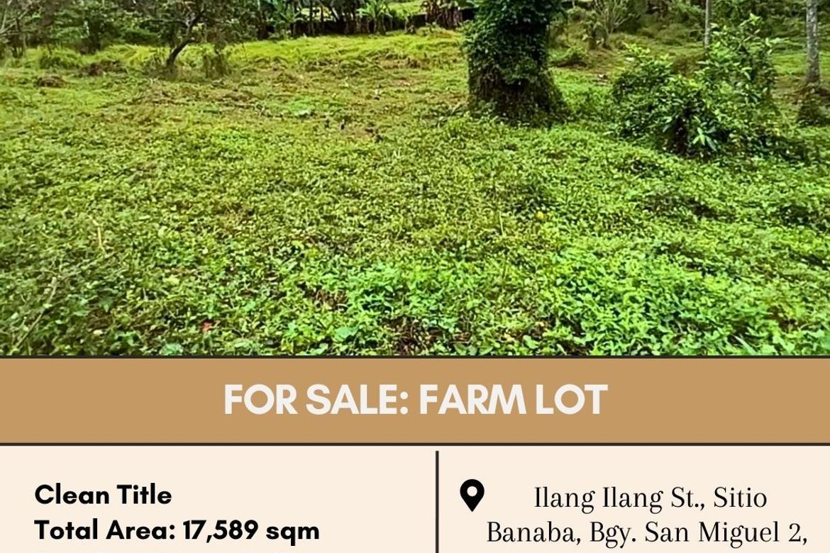 Land for Sale in Bulihan, Silang, Cavite
