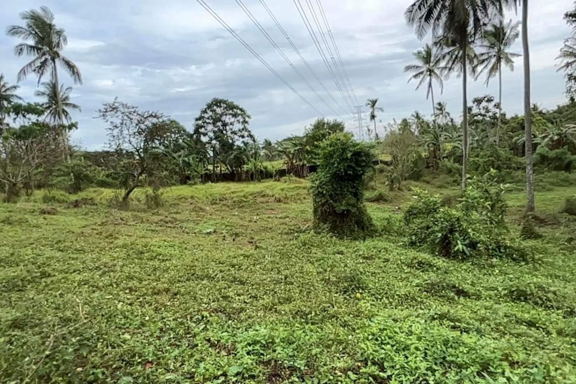 Land for Sale in Bulihan, Silang, Cavite – photo 3