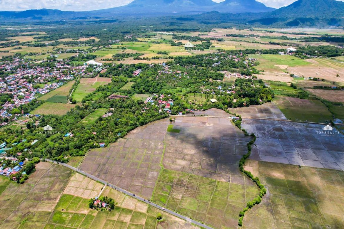Land for Sale in Bulilan Sur, Pila, Laguna