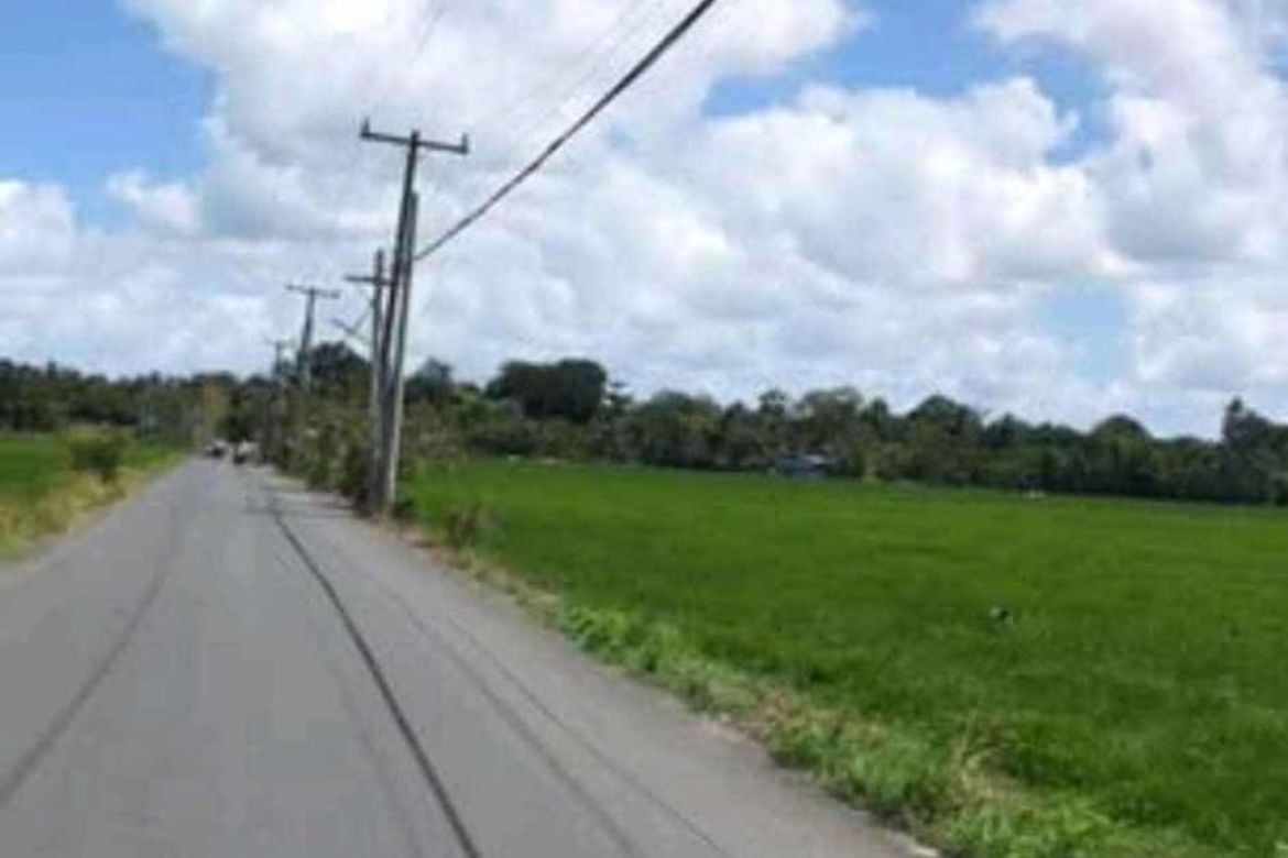 Land for Sale in Bulilan Sur, Pila, Laguna